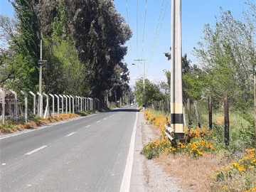 Imagen 8
