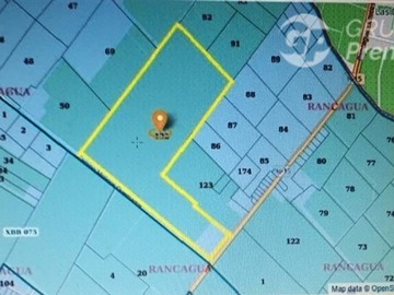 Imagen 5