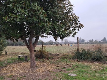 Venta / Terreno / Rancagua