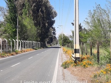 Imagen 5