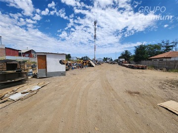 Imagen 5