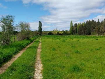 Venta / Terreno / Ránquil