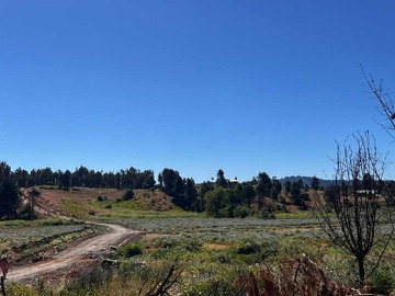 Venta / Terreno / Ránquil