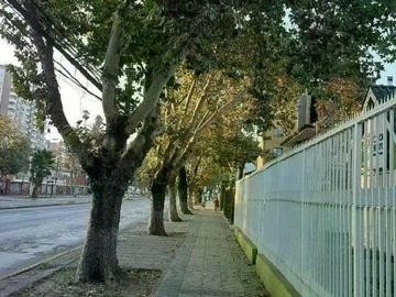 Imagen 10