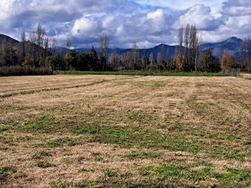 Venta / Terreno / Requínoa