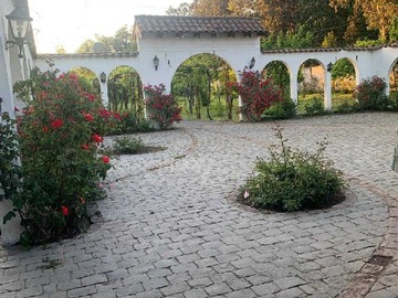 Imagen 7