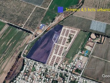 Imagen 5