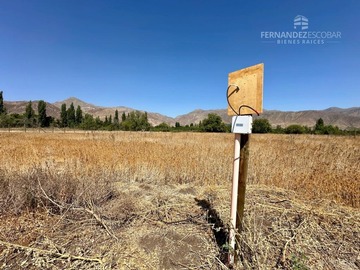 Imagen 5