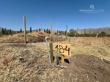 Imagen 7