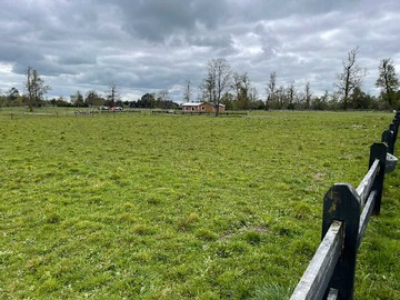 Venta / Terreno / Río Bueno