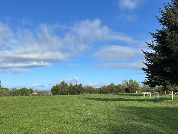 Venta / Terreno / Río Bueno