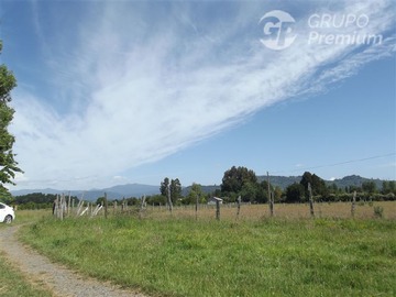 Venta / Terreno / Río Bueno