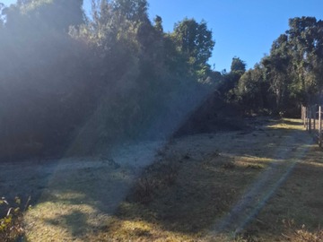 Venta / Terreno / Río Bueno