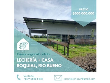 Venta / Terreno / Río Bueno