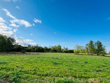 Venta / Terreno / Río Bueno