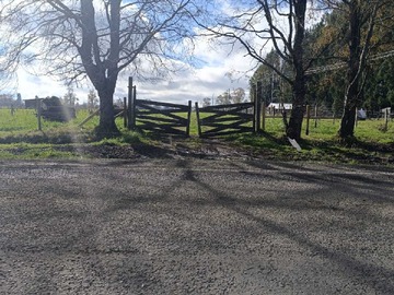 Venta / Terreno / Río Bueno