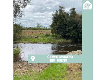 Venta / Terreno / Río Bueno