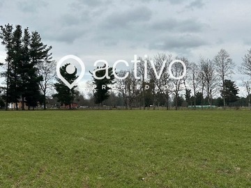 Venta / Terreno / Río Bueno