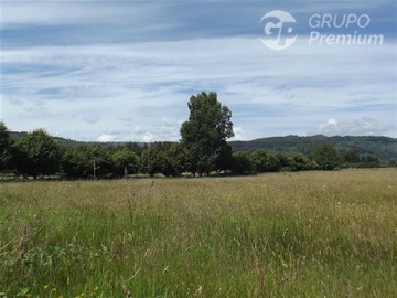 Venta / Terreno / Río Bueno