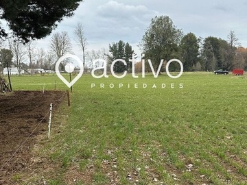 Imagen 9