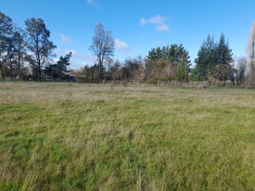 Venta / Terreno / Río Bueno