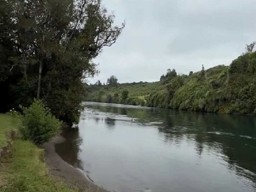 Venta / Terreno / Río Bueno