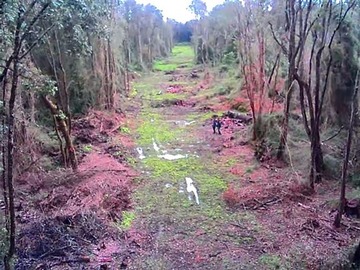 Venta / Terreno / Río Bueno