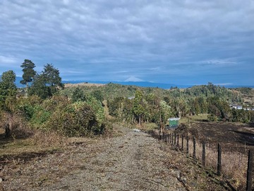 Venta / Terreno / Río Bueno