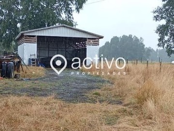 Venta / Terreno / Río Bueno