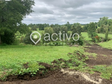 Venta / Terreno / Río Bueno