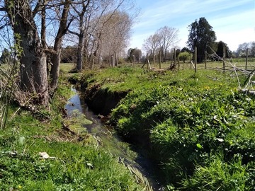 Venta / Terreno / Río Bueno