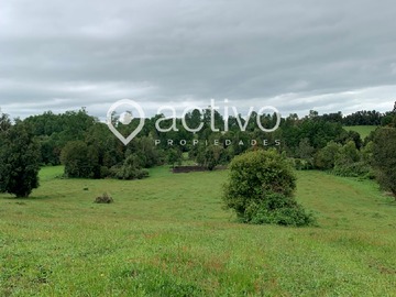 Venta / Terreno / Río Bueno