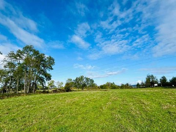 Venta / Terreno / Río Bueno