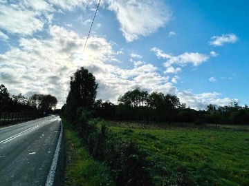 Venta / Terreno / Río Bueno