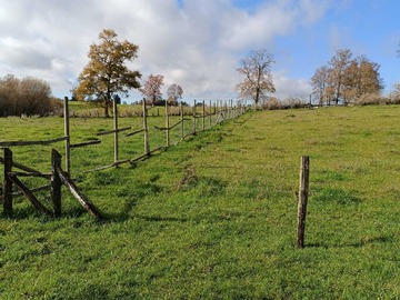 Venta / Terreno / Río Bueno