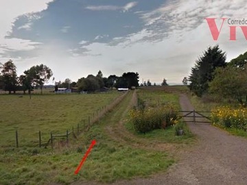 Venta / Terreno / Río Bueno