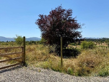 Venta / Terreno / Río Claro