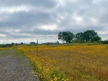 Venta / Terreno / Río Claro