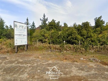 Imagen 8