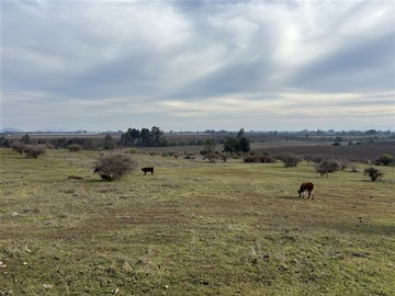 Venta / Terreno / Río Claro