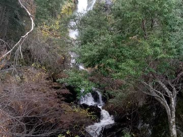 Venta / Terreno / Río Ibáñez