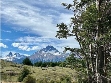 Venta / Terreno / Río Ibáñez