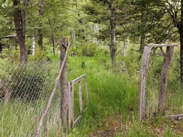 Venta / Terreno / Río Ibáñez