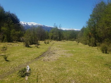 Venta / Terreno / Río Ibáñez