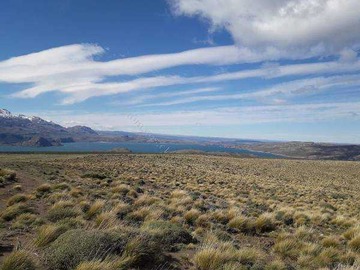 Venta / Terreno / Río Ibáñez