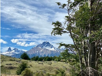 Venta / Terreno / Río Ibáñez