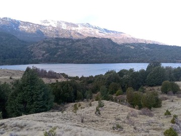 Imagen 5