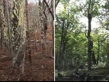 Venta / Terreno / Río Ibáñez