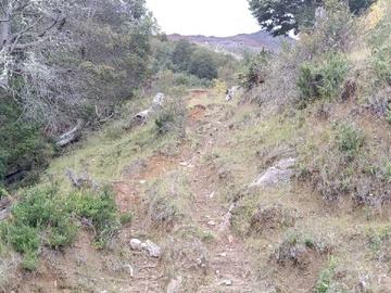 Imagen 11