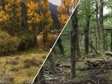 Venta / Terreno / Río Ibáñez